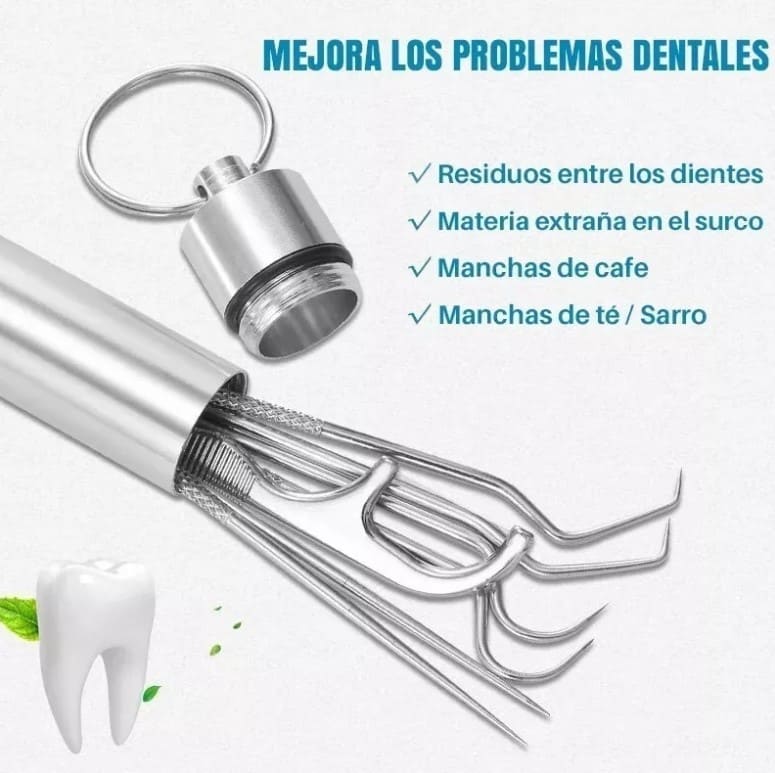 Kit De Limpieza Dental: Palillos De Acero Inoxidable