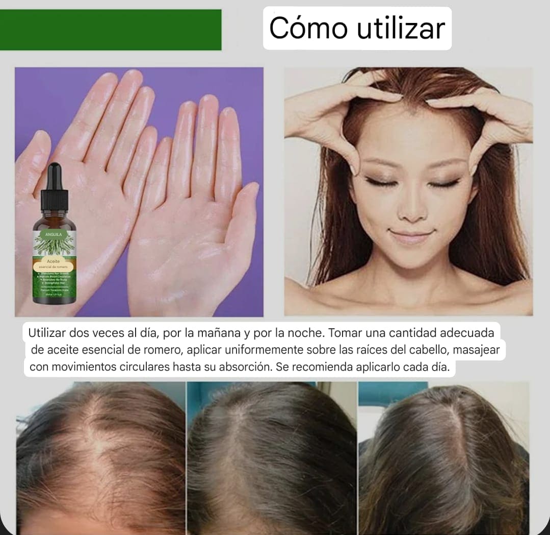ACEITE DE ROMERO (Para detener la caída del cabello y hacerlo crecer)