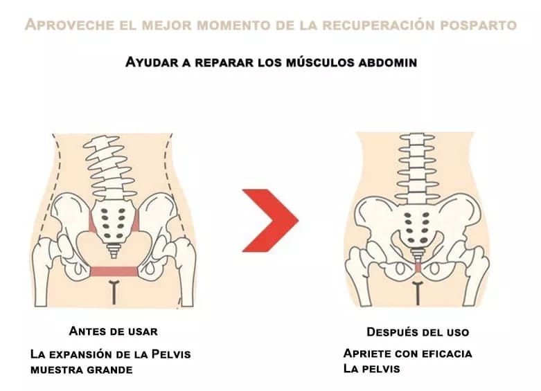 PELVICFLEX® CINTURON DE RECUPERACION Y ENTRENAMIENTO 110CM