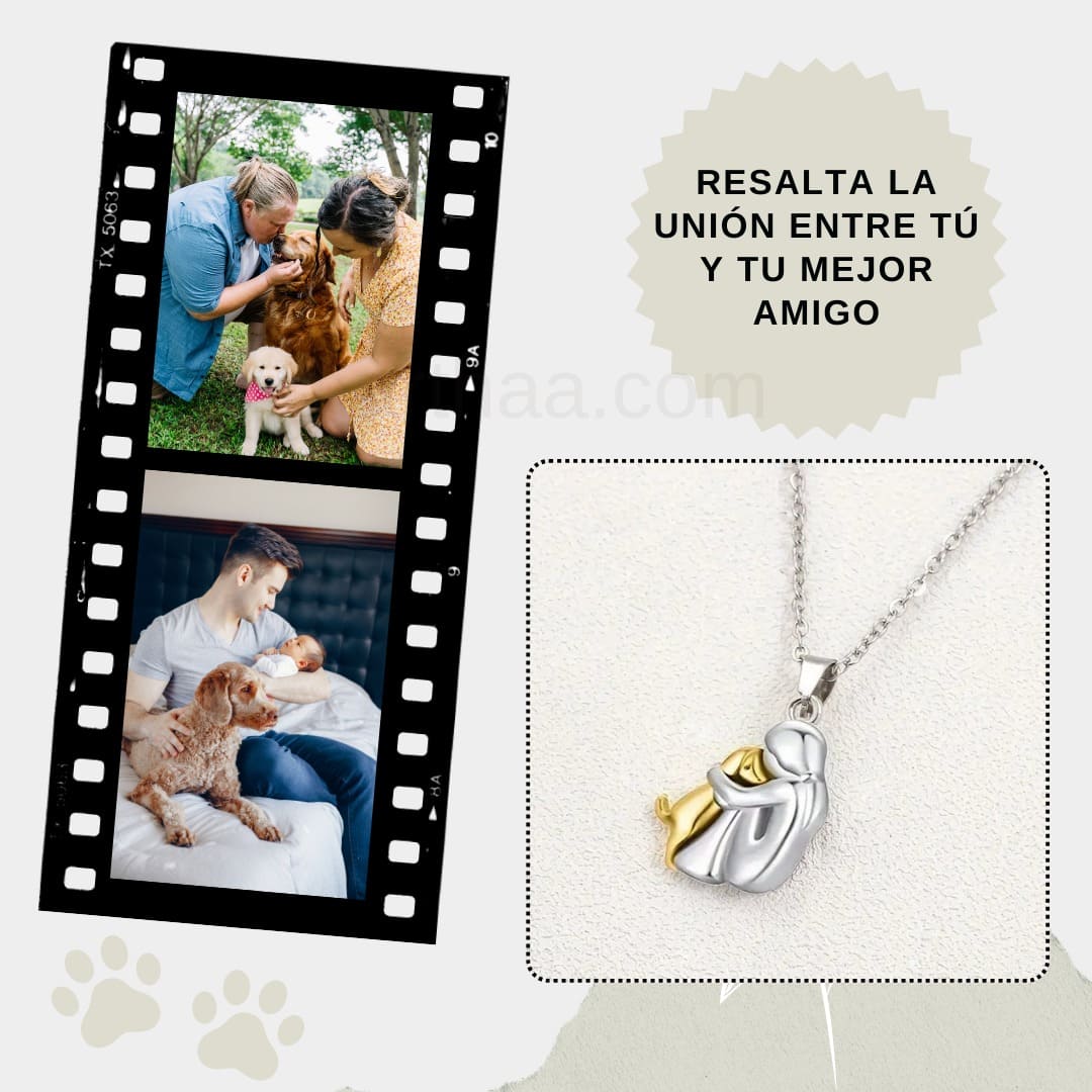 COLLAR DE PURO AMOR HACIA TU MASCOTA