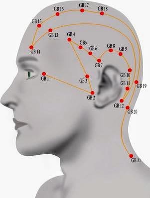 Masajeador de Cabeza (Promueve la buena circulación evitando problemas de salud)