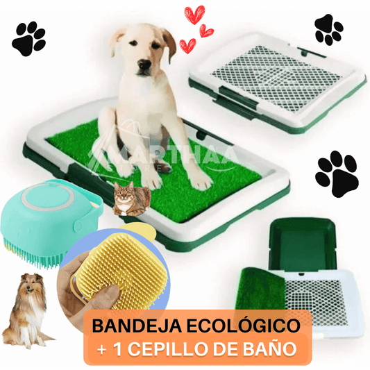 BAÑO PORTÁTIL PARA MASCOTAS CON BANDEJA Y CÉSPED 🐶🐱